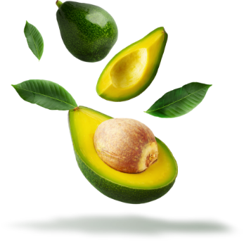 avocado